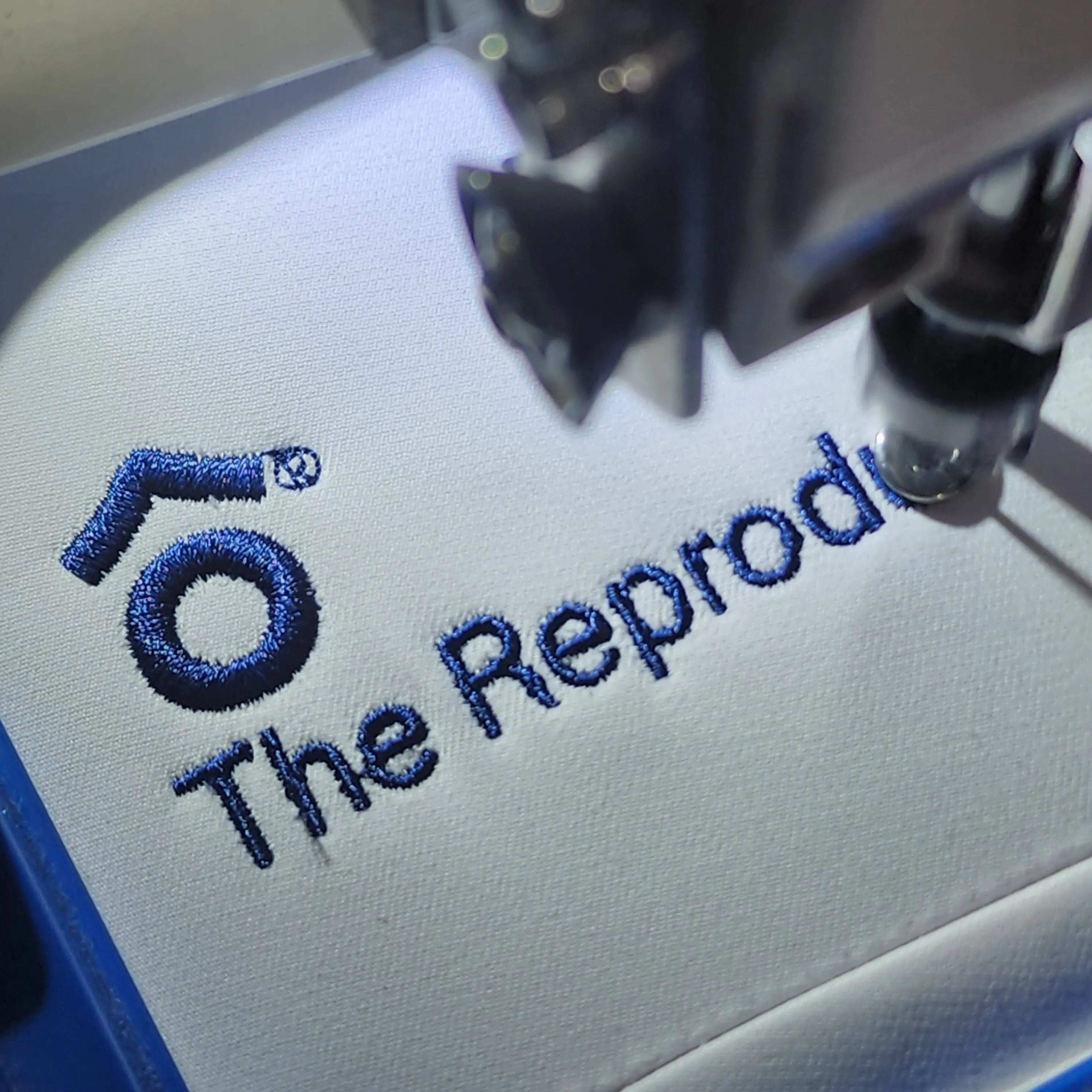 the Reproductive